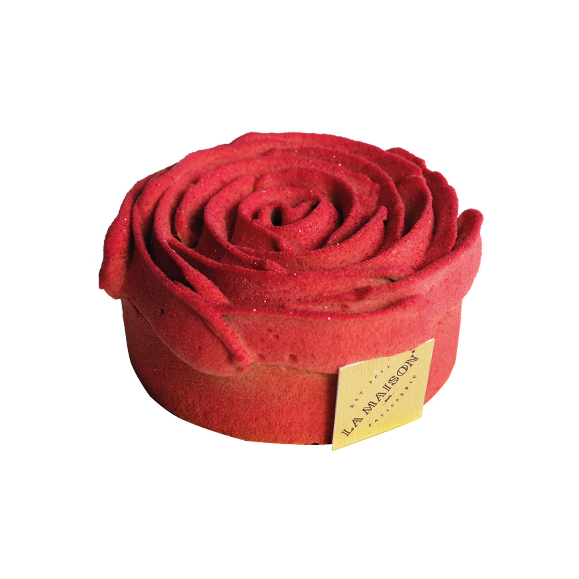 Enchanted Rose